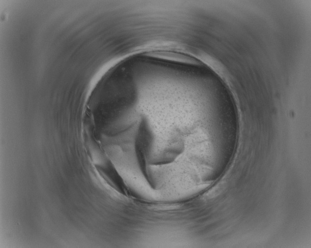 X0000076101296200610061657