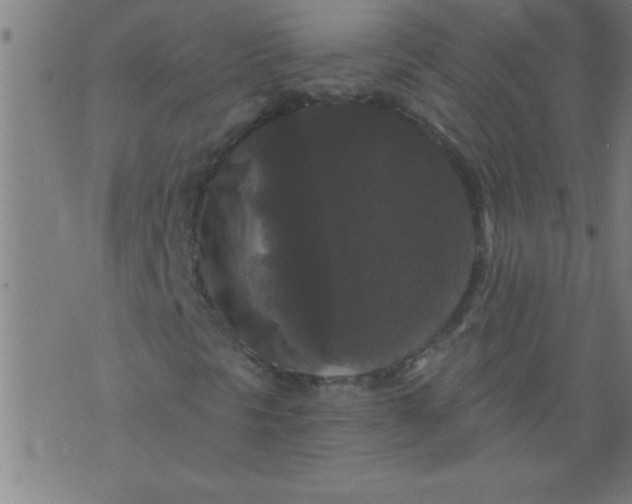 X0000076101297200610061656