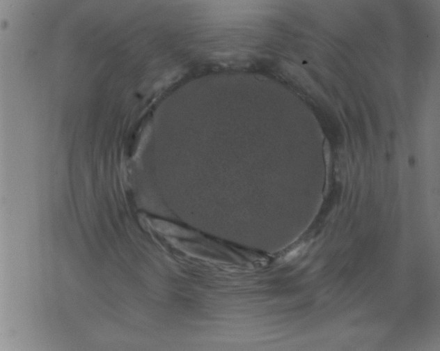 X0000076101298200610061656