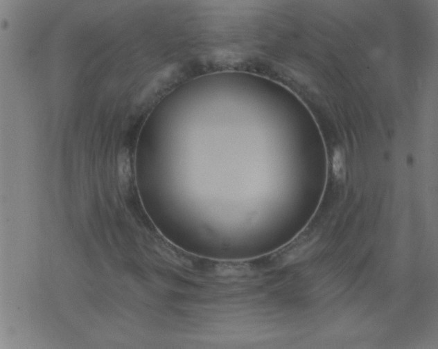 X0000076101299200610061656