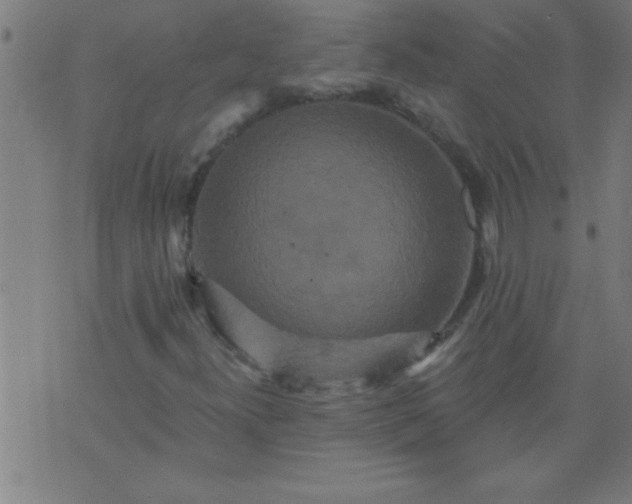 X0000076101300200610061656