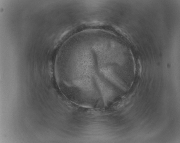 X0000076101301200610061656