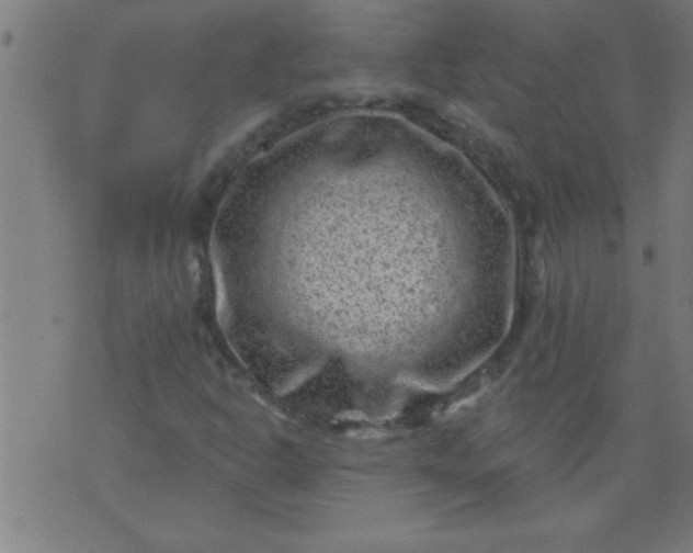 X0000076101302200610061656