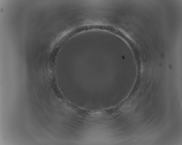 X0000076101303200610061656