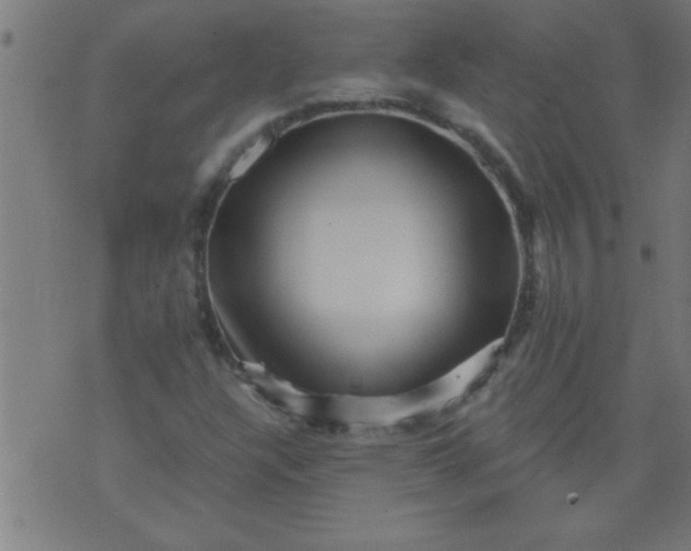 X0000076101304200610061656