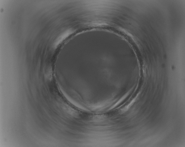 X0000076101306200610061656