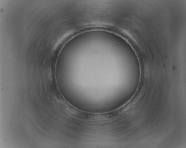 X0000076101307200610061656