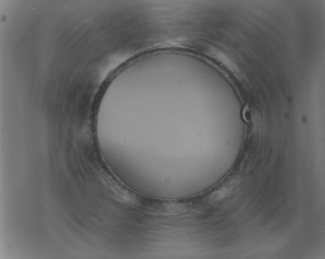 X0000076101308200610061656