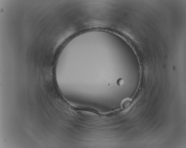 X0000076101309200610061656