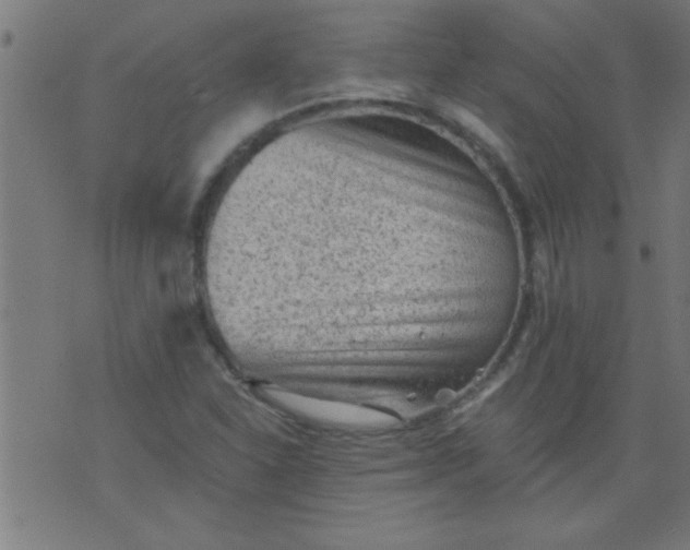 X0000076101310200610061656