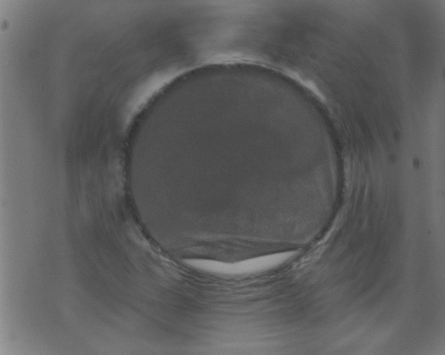 X0000076101311200610061656