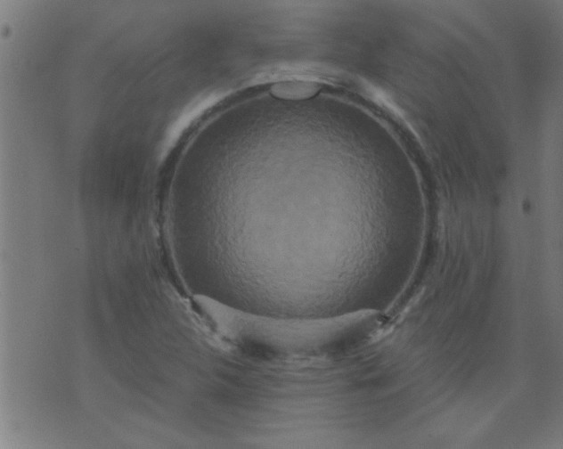 X0000076101312200610061656