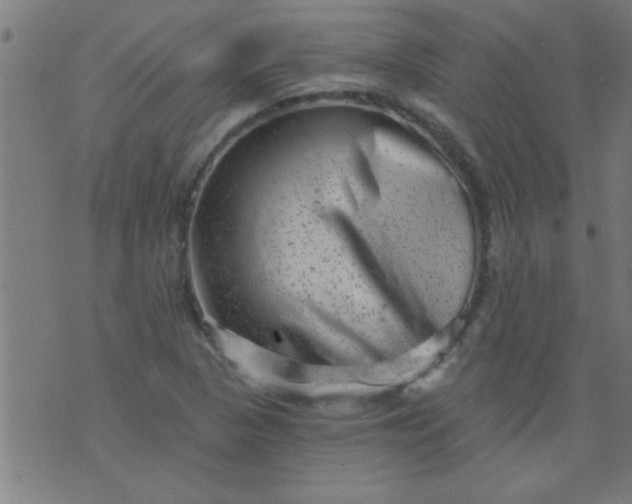 X0000076101313200610061657