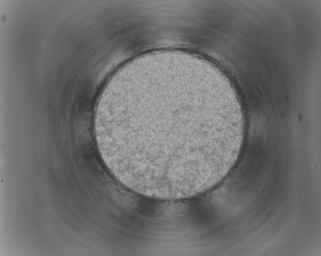 X0000076101314200610061657