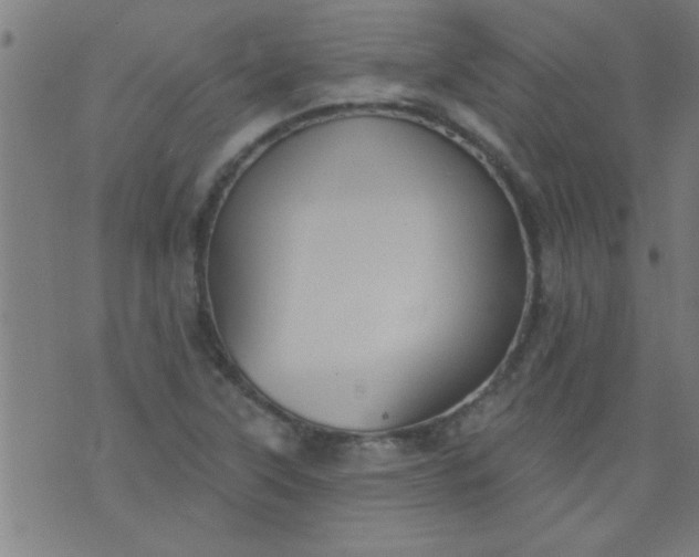 X0000076101315200610061657