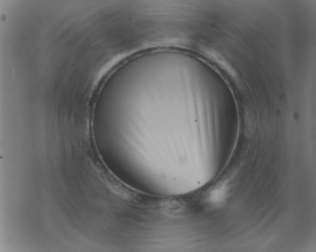 X0000076101316200610061657