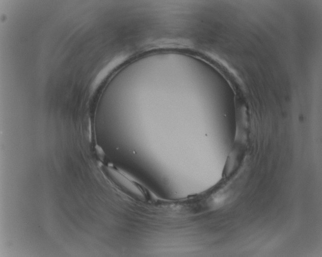 X0000076101317200610061657