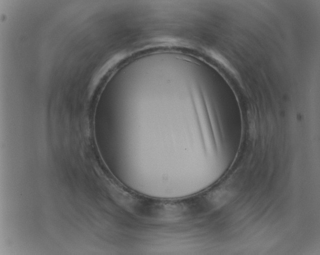 X0000076101318200610061657