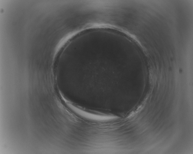 X0000076101319200610061657