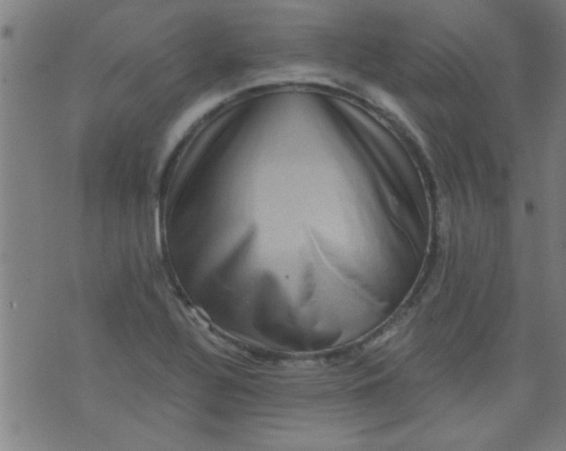 X0000076101320200610061657