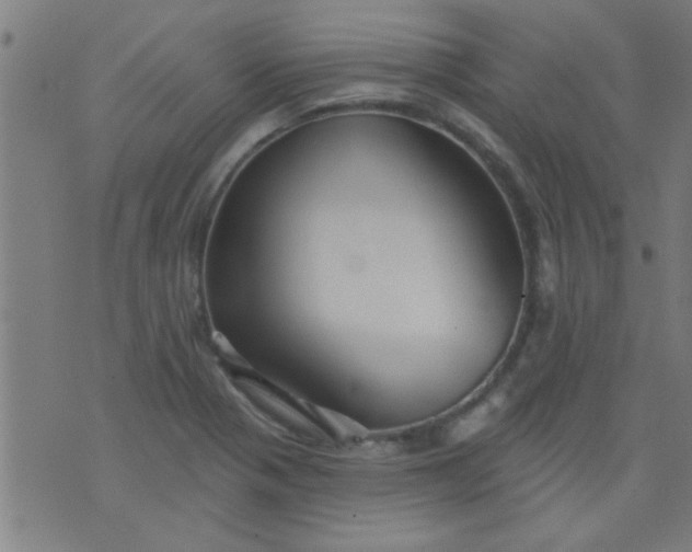 X0000076101321200610061657