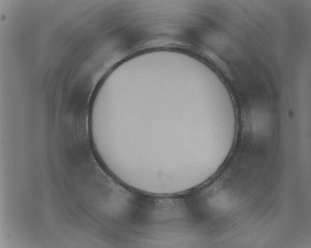 X0000076101322200610061657