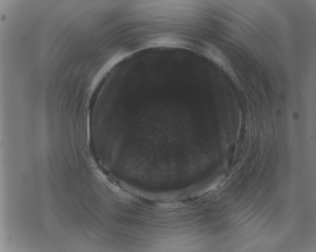 X0000076101323200610061657