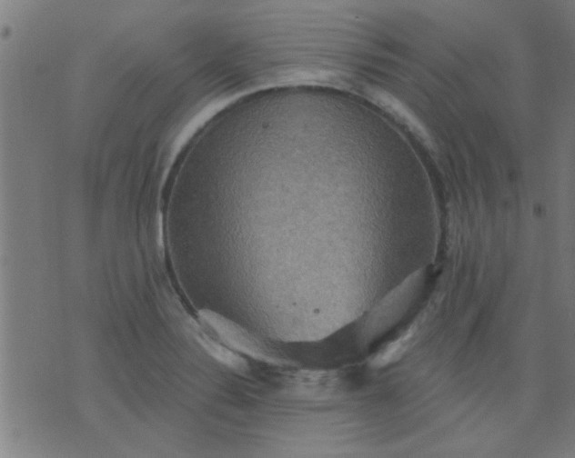 X0000076101324200610061657