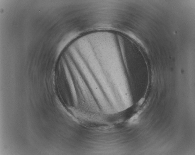 X0000076101325200610061657