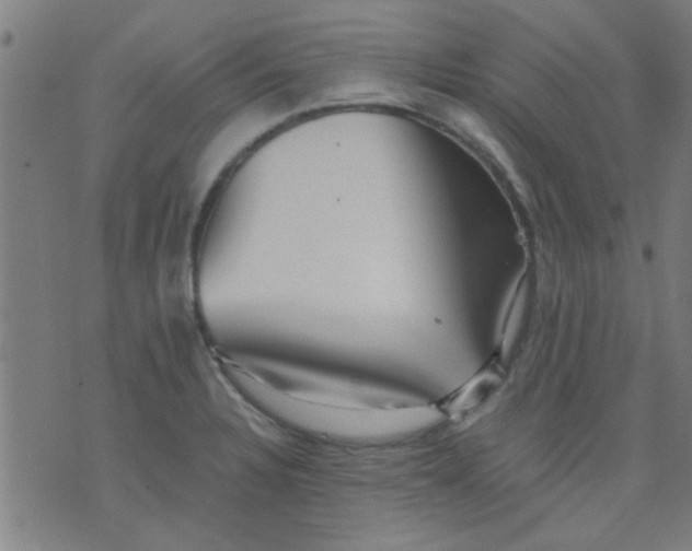 X0000076101328200610061657