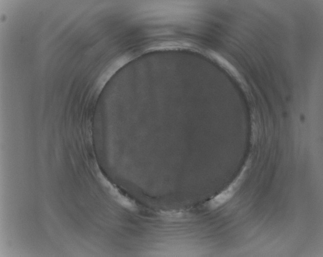 X0000076101329200610061657