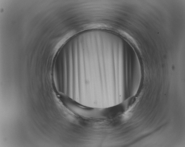 X0000076101330200610061657