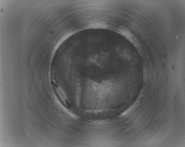 X0000076101331200610061657