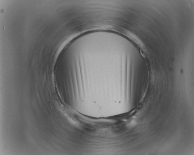 X0000076101332200610061657