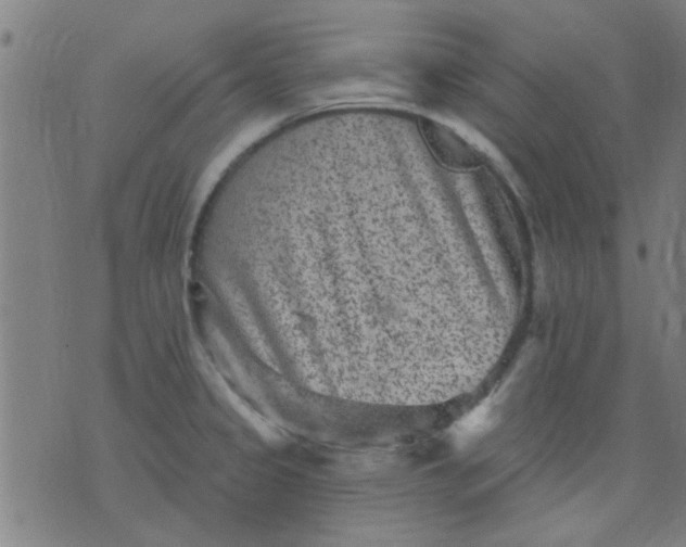 X0000076101333200610061657