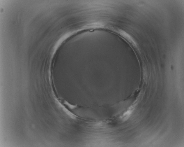 X0000076101334200610061657