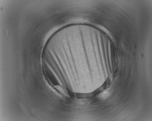 X0000076101335200610061657