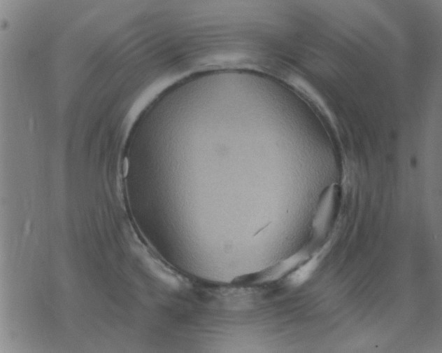 X0000076101336200610061657