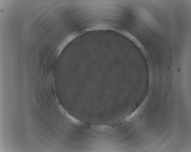 X0000076101337200610061657