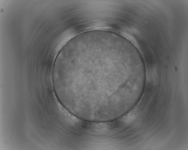 X0000076101338200610061657