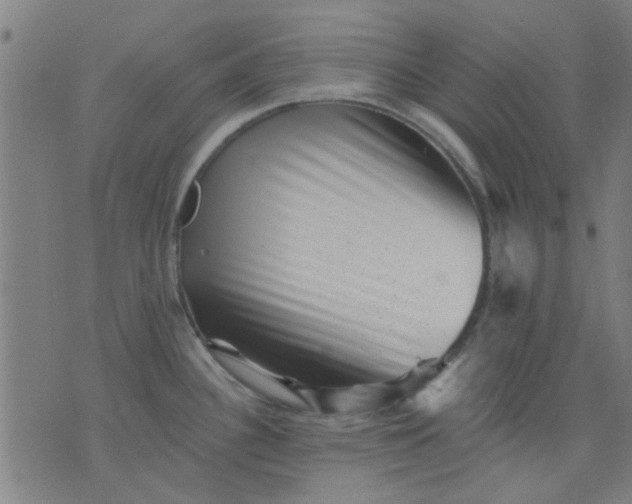 X0000076101340200610061657