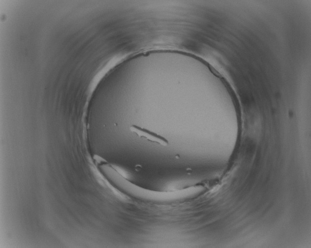 X0000076101341200610061657