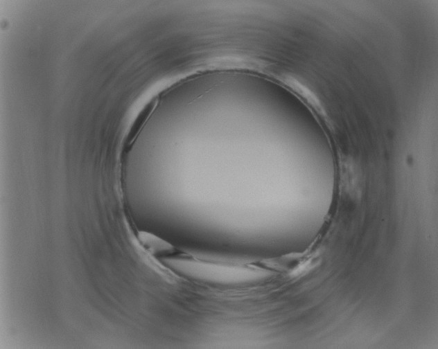 X0000076101342200610061657