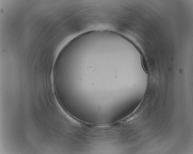 X0000076101343200610061657