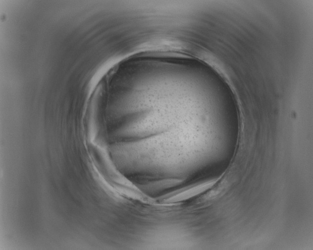 X0000076101344200610061657