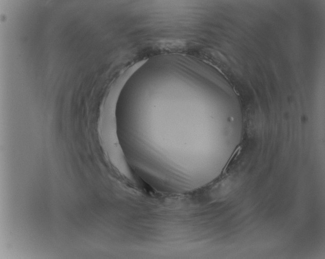 X0000076101345200610061656