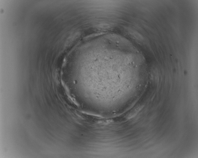 X0000076101346200610061656