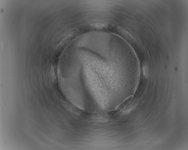 X0000076101347200610061656