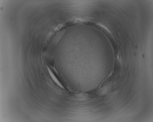 X0000076101348200610061656