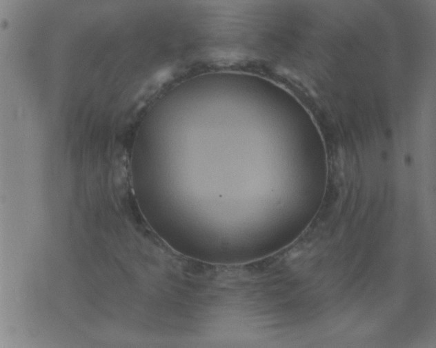 X0000076101349200610061656